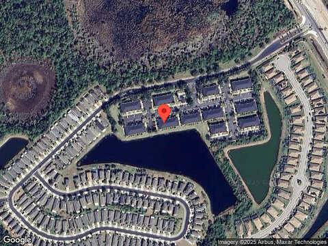 Tigers Eye, VENICE, FL 34292