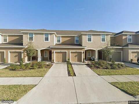 Towne Lake, RIVERVIEW, FL 33578