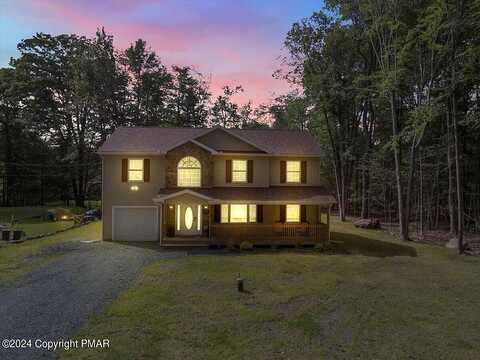 White Pine, POCONO LAKE, PA 18347