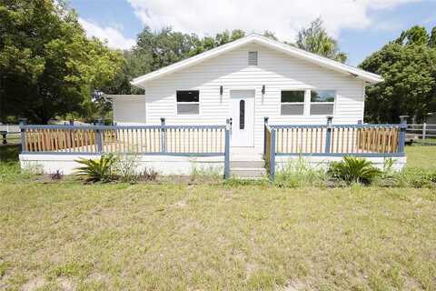 Judee, ZEPHYRHILLS, FL 33541