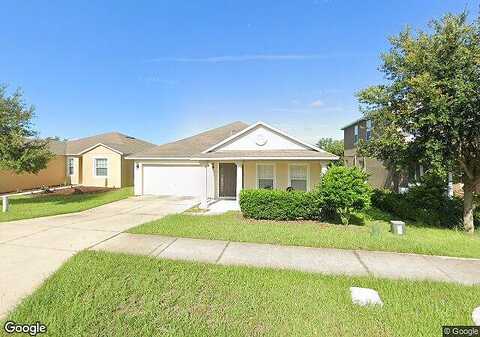 Prairie Falcon, GROVELAND, FL 34736