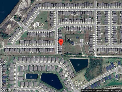Wallflower, WESLEY CHAPEL, FL 33545