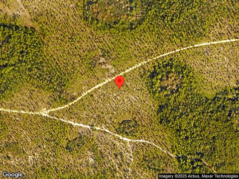 Catface, INLET BEACH, FL 32461