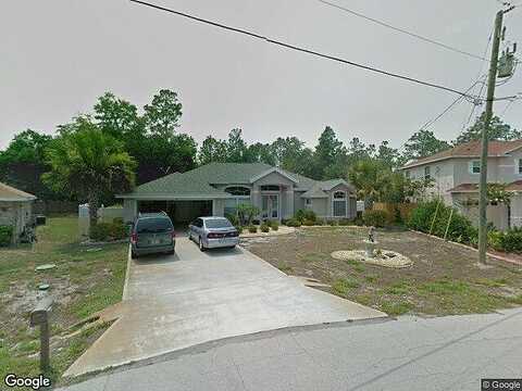 Zephyr Lily, PALM COAST, FL 32164