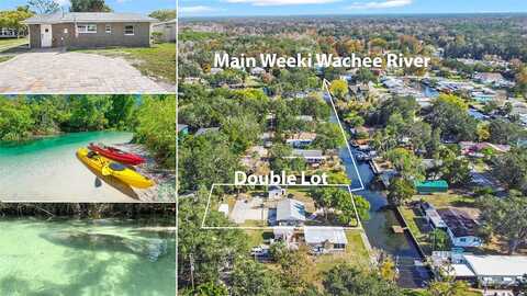 Teal, WEEKI WACHEE, FL 34607