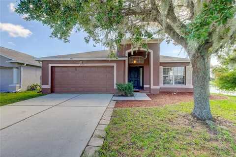 Baclan, WESLEY CHAPEL, FL 33545