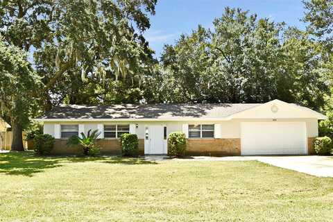 Croton, APOPKA, FL 32703