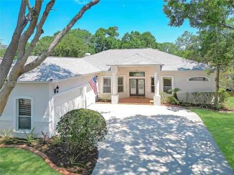 Golf Manor, VALRICO, FL 33596