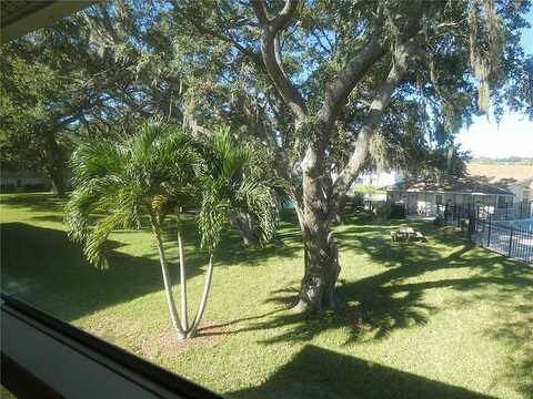 Virginia St, Dunedin, FL 34698