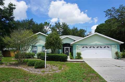 N Amboy Drive, Citrus Springs, FL 34433