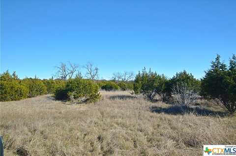 County Road 333, BERTRAM, TX 78605