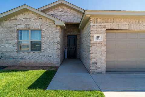 1113 Mesa, Hereford, TX 79045