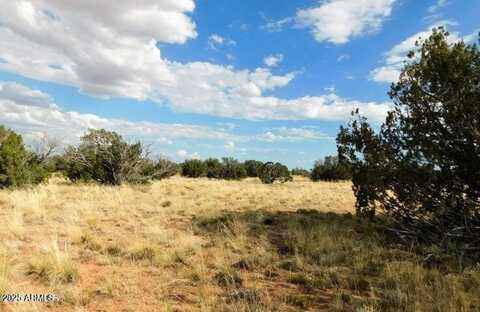 Lot 438 Chevelon Canyon Ranch --, Heber, AZ 85928