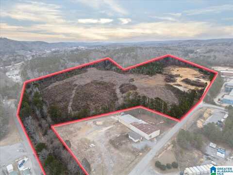 409 INDUSTRIAL PARK ROAD, ONEONTA, AL 35121