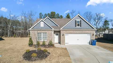 4056 PARK COVE WAY, CHELSEA, AL 35043