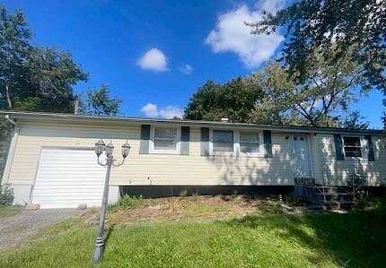 Buckskin, SELDEN, NY 11784