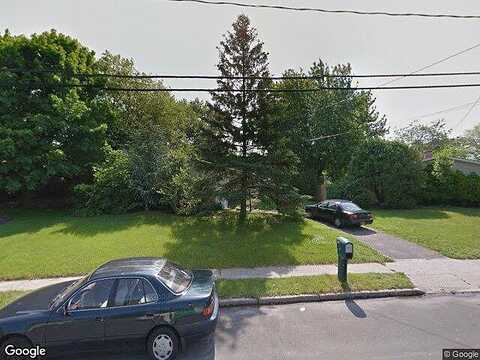 Buckskin, SELDEN, NY 11784