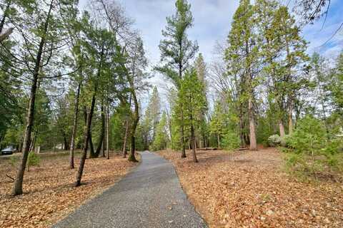 Madrone Forest, NEVADA CITY, CA 95959