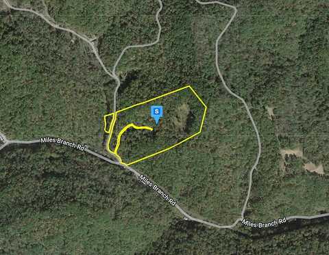 Raccoon Creek Rd, Branchland, WV 25506