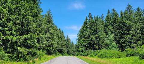 Lot 4 Canyonwood Lane, Pompey, NY 13078