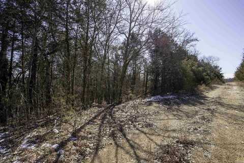 Lot 73 Big Buck Lane, Williford, AR 72482