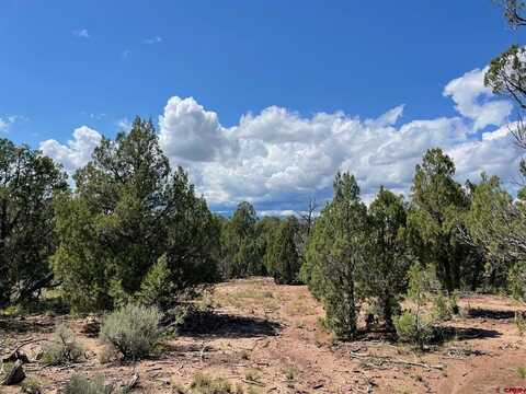 232 Rawhide Road, Durango, CO 81303