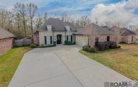 40019 High Creek Ave, Gonzales, LA 70737