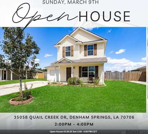 35058 Quail Creek Dr, Denham Springs, LA 70706