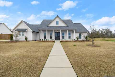 43541 Collyns Cove, Prairieville, LA 70769