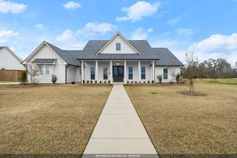 43541 Collyns Cove, Prairieville, LA 70769