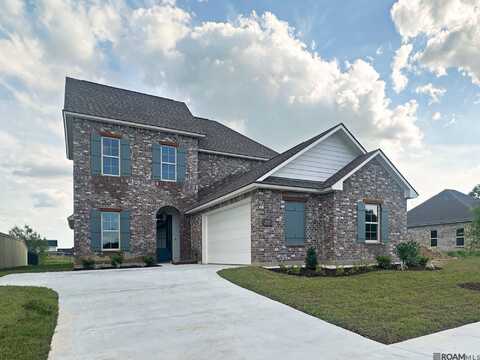36149 Belle Parc Ave, Geismar, LA 70734