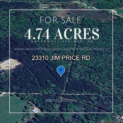 23310 Jim Price Rd, Greenwell Springs, LA 70739