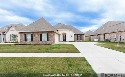 41269 Marsh Ln, Gonzales, LA 70737