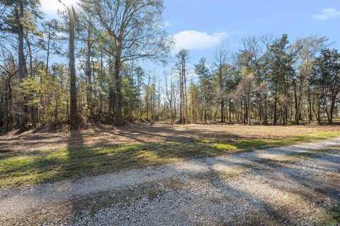 12234 Whitetail Ln, Walker, LA 70785