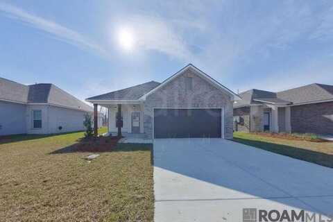 13968 Rosewell St, Denham Springs, LA 70726