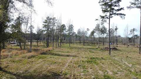 Lot 30 Tungoil Rd, Pine Grove, LA 70453