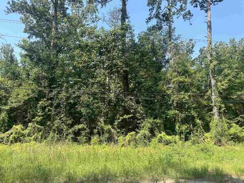 31507 La Hwy 1036, Holden, LA 70744