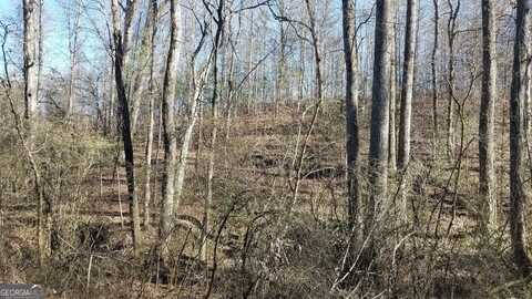 Lot 1 And 2 Tom Hunt Road, Cleveland, GA 30528