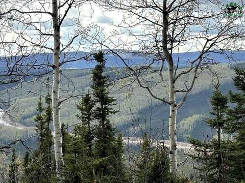 NHN OLNES LOOP ROAD, Fairbanks, AK 99712