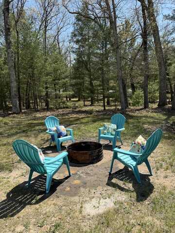 8327 W Hollyhock Avenue, Baldwin, MI 49304