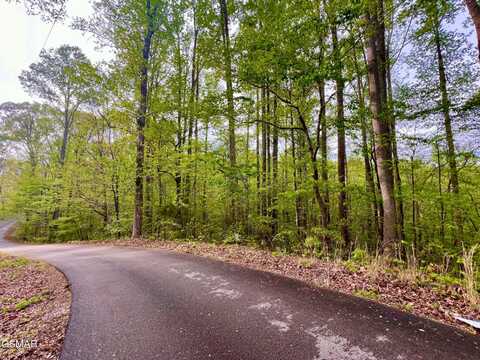 Polly Mountain Rd lot: 76, 77, Madisonville, TN 37354