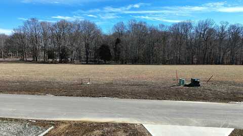 Sunset Boulevard lot: 59, White Pine, TN 37890
