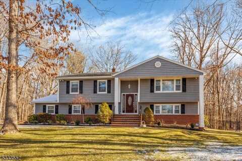 9 Cathy Pl, Roxbury Township, NJ 07876