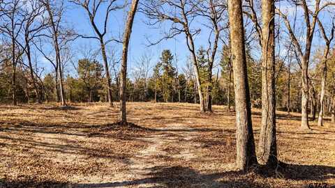 0 County Road 4710, LaRue, TX 75770