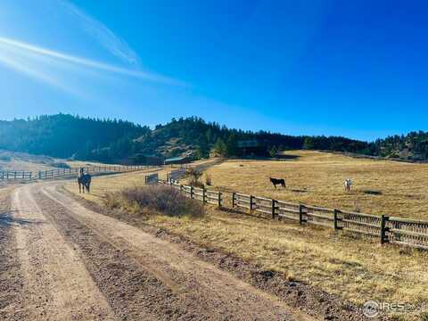 2004 Bonner Springs Ranch Rd, Laporte, CO 80535