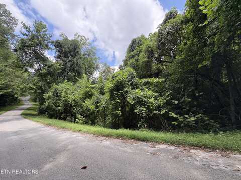 Lot 302 Garfield Lane, Sharps Chapel, TN 37866