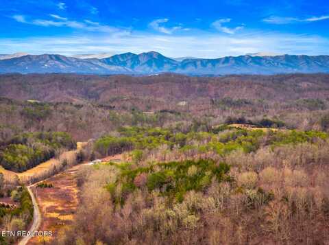 Lot 8 Lonesome Pine Rd, Bybee, TN 37713