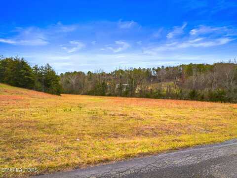 Lot 1 Lonesome Point Rd, Bybee, TN 37713