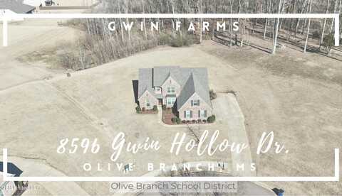 8596 Gwin Hollow Drive, Olive Branch, MS 38654