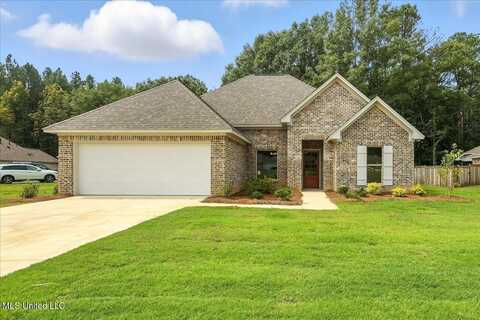 124 Jasmine Cove Drive, Brandon, MS 39042